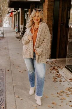 Pumpkin Patch Cozy Knit Cardigan In Warm Taupe Curves