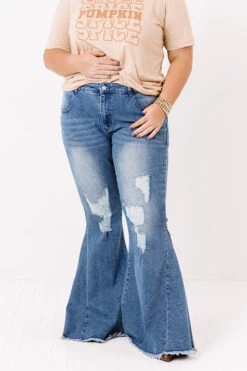 The Tayte High Waist Distressed Flare Curves