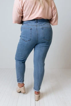 The Jozie High Waist Skinny In Light Wash Curves -Hanger Fashion 2106032832000 2021062611454000 be49035athe jozie high waist skinny in light wash
