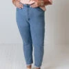 The Jozie High Waist Skinny In Light Wash Curves