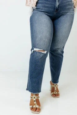 The Greta Midrise Distressed Jean Curves -Hanger Fashion 2209127847000 2022093008064000 21f48ea5the greta midrise distressed jean curves