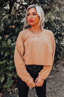 Newly Obsessed Crop Top In Camel -Hanger Fashion 2211012662000 2022110313234000 9c21c4b2newly obsessed crop top in camel