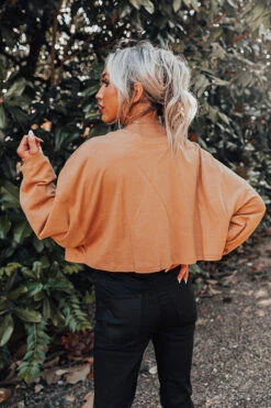 Newly Obsessed Crop Top In Camel -Hanger Fashion 2211012662000 2022110313234000 e65af0b0newly obsessed crop top in camel